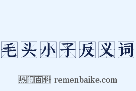 毛头小子反义词是什么意思的图片